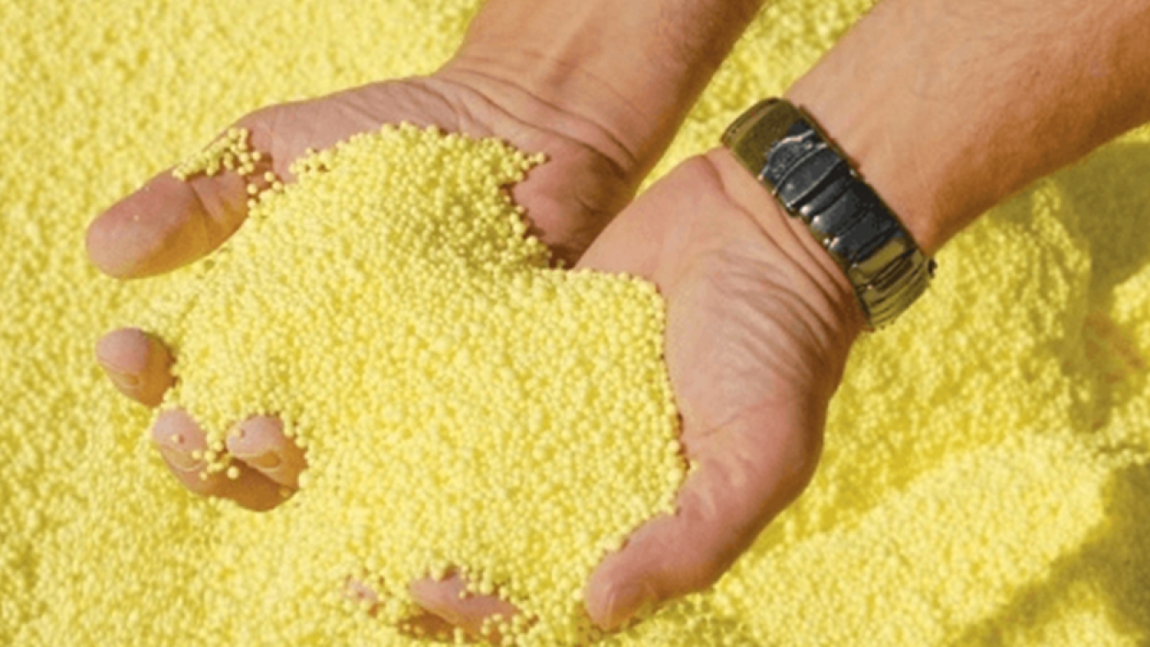 BELIRANGkalisari_artikel2_FEB'26