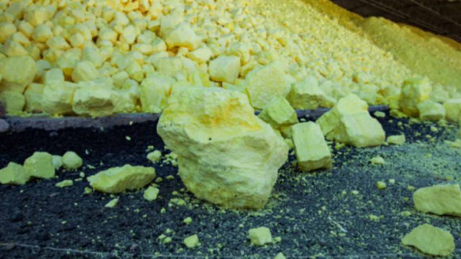 BELIRANGkalisari_artikel8_FEB'26