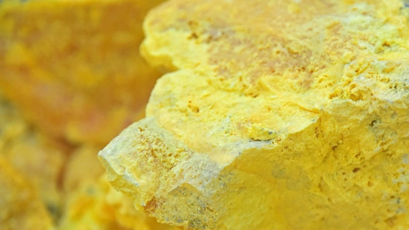 2_BELIRANGkalisari_BeleranguntukIndustridanPertanianPanduanMemilihProdukyangTepat_MARET'26