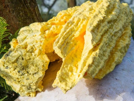 6_BELIRANGkalisari_PabrikSulfuryangAndaluntukPasokanIndustridanPerdaganganB2B_MARET'26