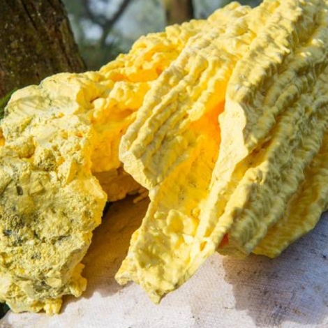 6_BELIRANGkalisari_PabrikSulfuryangAndaluntukPasokanIndustridanPerdaganganB2B_MARET'26