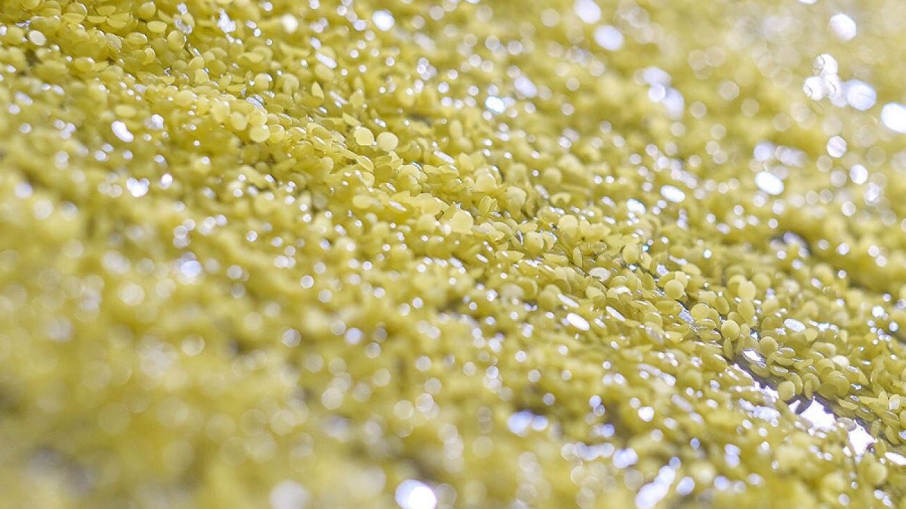 7_BELIRANGkalisari_DistributorSulfuruntukKebutuhanPasarIndustriPertaniandanPerdagangan_MARET'26