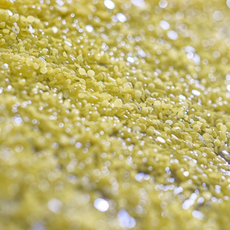 7_BELIRANGkalisari_DistributorSulfuruntukKebutuhanPasarIndustriPertaniandanPerdagangan_MARET'26