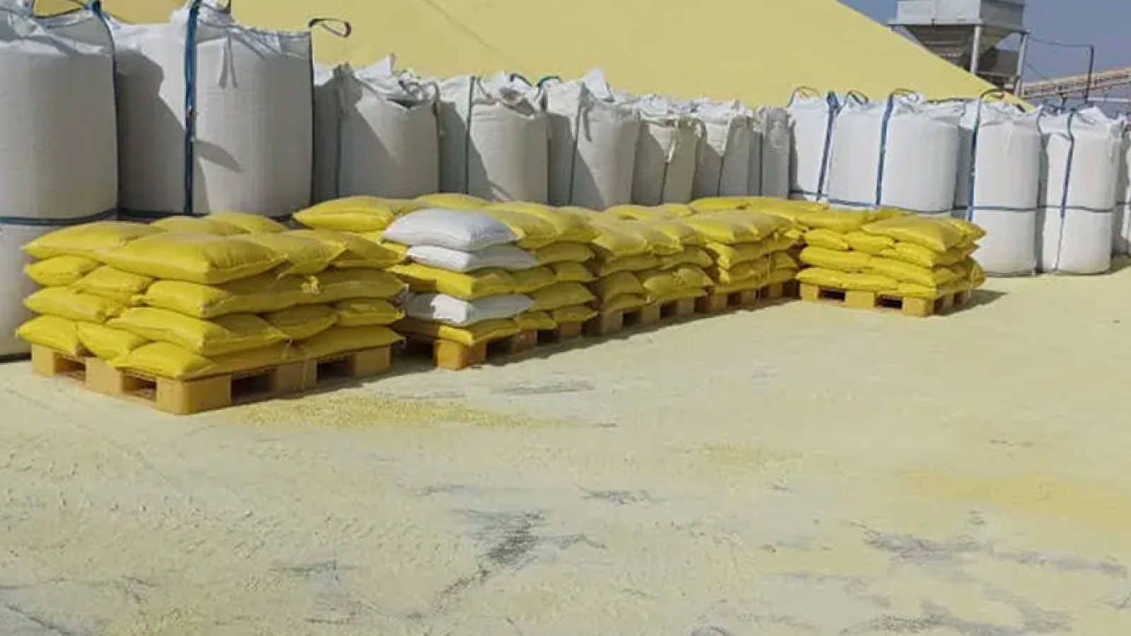 BELIRANGkalisari_artikel4_APRIL'26