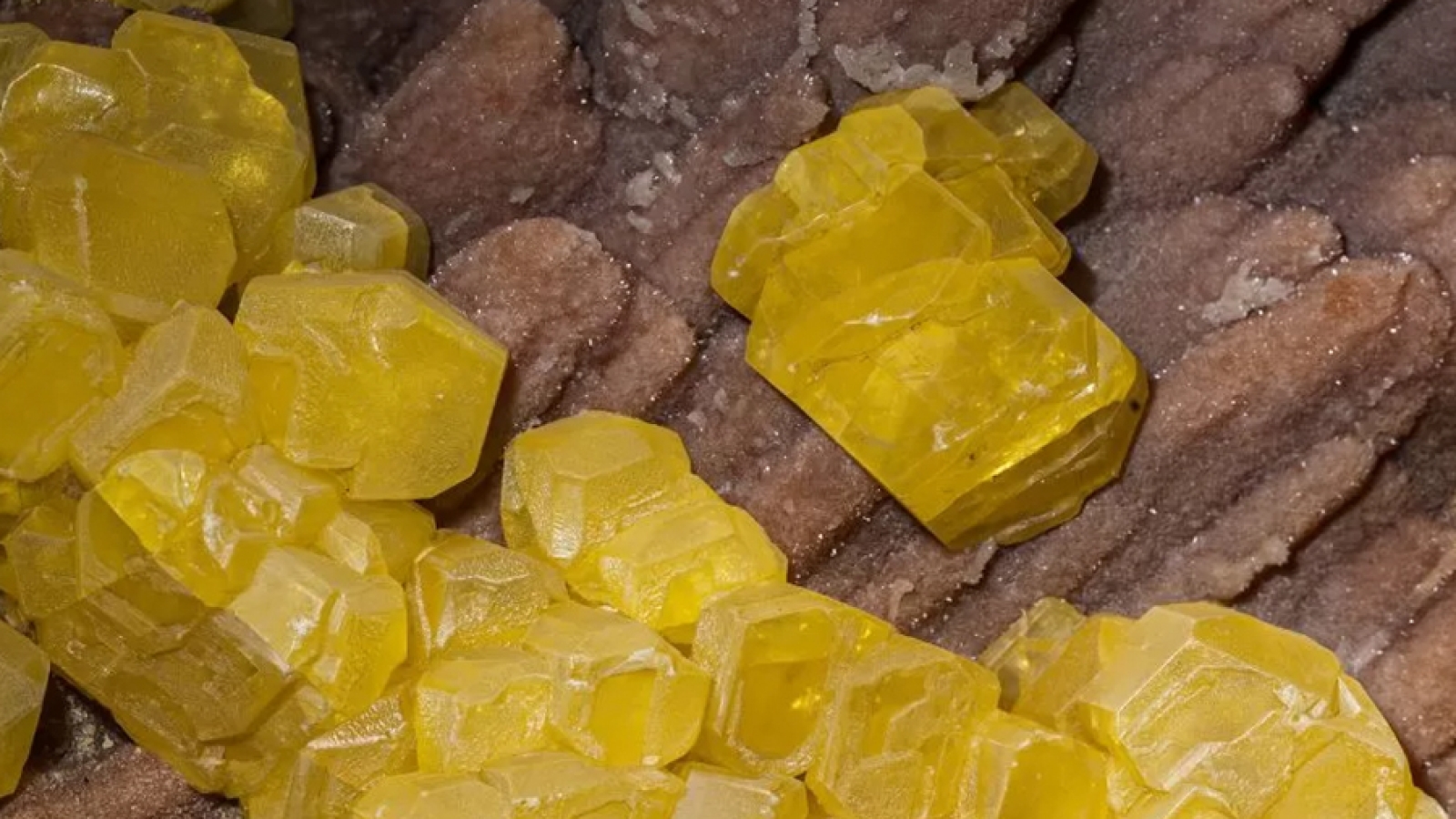 BELIRANGkalisari_artikel7_APRIL'26